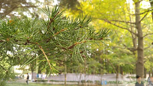 業(yè)界良心 LG V10 評測:剛毅、冷峻，不失人性化