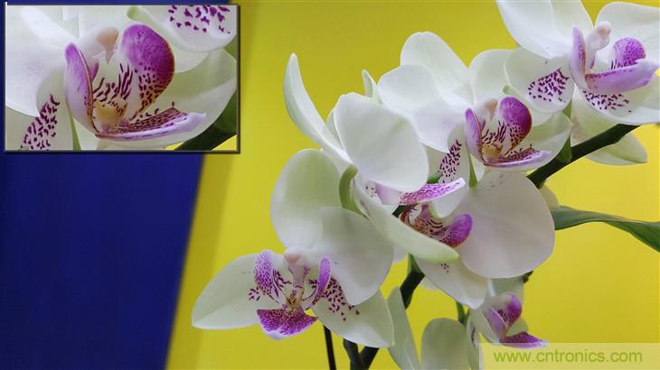 三星S6 edge+評測：擊退note 5，帶著雙曲屏卷土重來