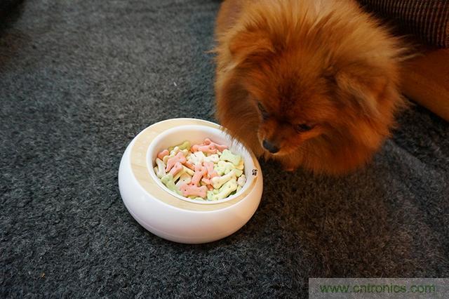 科學(xué)喂養(yǎng)從狗娃做起&mdash;&mdash;逗愛(ài)乖乖碗測(cè)試