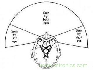 雙目重疊技術(shù)在VR中有什么作用？