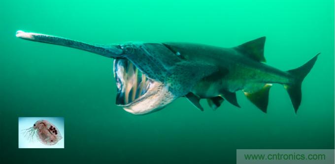 檢測不到信號，是加點噪聲？還是濾除噪聲？