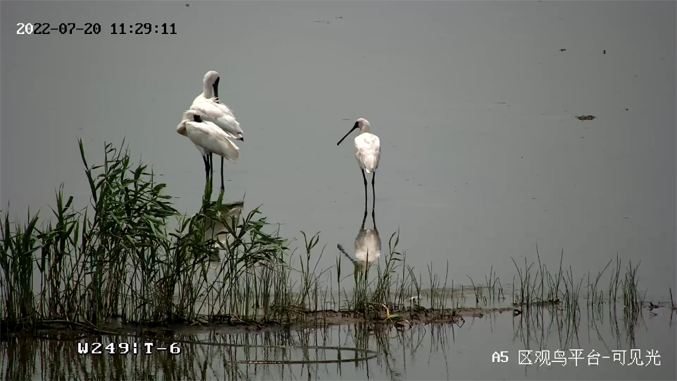 ?？低暟l(fā)布2022年ESG報(bào)告：科技為善，助力可持續(xù)的美好未來(lái)