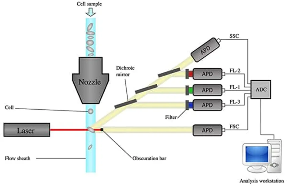 解決了！這個模塊解決了流式細胞儀設計的多個痛點！