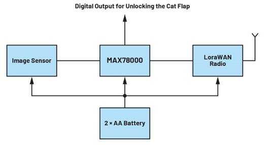 卷積神經(jīng)網(wǎng)絡(luò)的硬件轉(zhuǎn)換：什么是機(jī)器學(xué)習(xí)？——第三部分