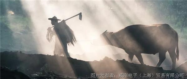 智慧農(nóng)業(yè)大有可為，“數(shù)字種地”更輕松