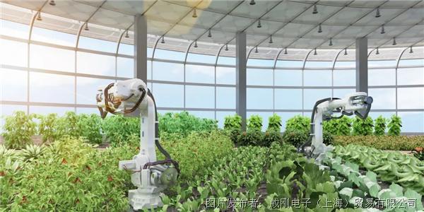 智慧農(nóng)業(yè)大有可為，“數(shù)字種地”更輕松